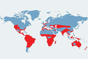 Szczudłonogi - mapa występowania na świecie