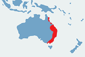 Szkarłatka królewska - mapa występowania na świecie