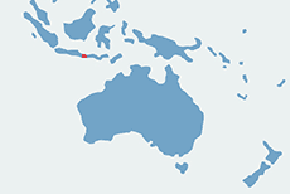 Szpak balijski – mapa występowania na świecie