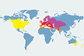 Szpak (zwyczajny) - mapa występowania na świecie