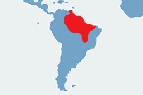 Tukan czerwonodzioby - mapa występowania na świecie