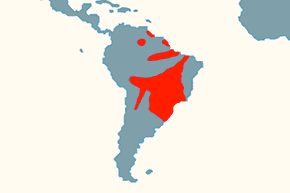 Tukan wielki - mapa występowania na świecie