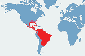 Wężówka amerykańska - mapa występowania na świecie