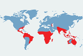 Wężówki - mapa występowania na świecie