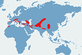 Wieszczek - mapa występowania na świecie