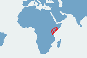 Wikłacz pomarańczowy - mapa występowania na świecie