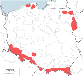 Włochatka (zwyczajna) - mapa występowania w Polsce