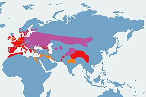 Wodnik (zwyczajny) - mapa występowania na świecie