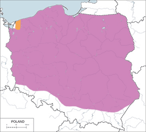 Wodnik (zwyczajny) – mapa występowania w Polsce