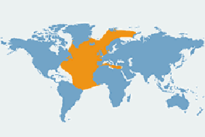 Wydrzyk wielki - mapa występowania na świecie