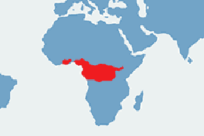 Żako - mapa występowania na świecie