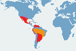 Żarek rubinowy - mapa występowania na świecie