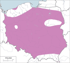 Zausznik - mapa występowania w Polsce