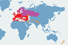 Zięba (zwyczajna) – mapa występowania na świecie