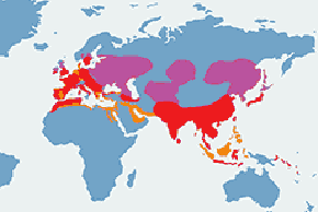 Zimorodek (zwyczajny) - mapa występowania na świecie