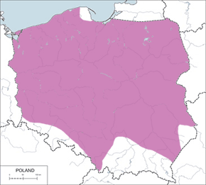 Żuraw zwyczajny, żuraw – mapa występowania w Polsce