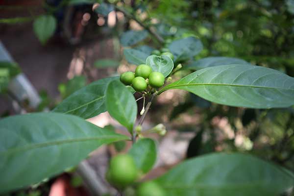 © Anuroop – stock.adobe.com