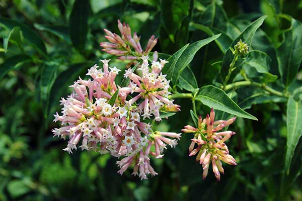Mrzechlina © aquatarkus – stock.adobe.com Mrzechlina