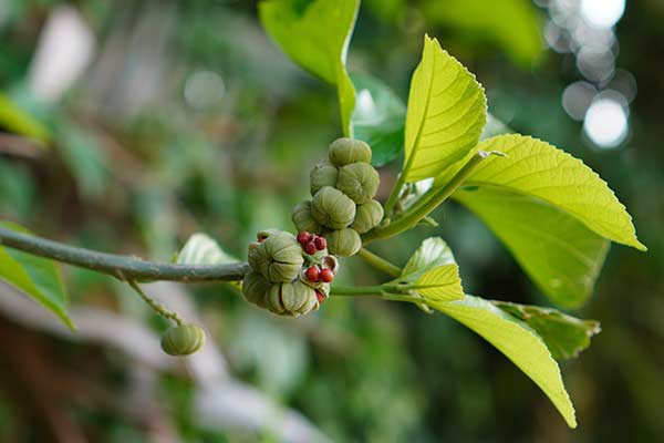 © wahid bagus – stock.adobe.com