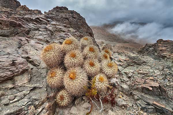 © Chris – stock.adobe.com