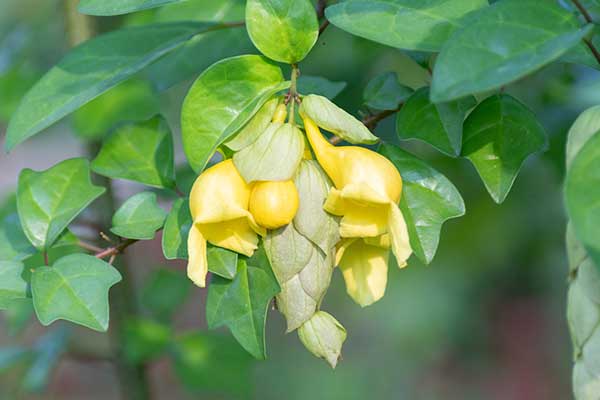 © MariannePfeil – stock.adobe.com