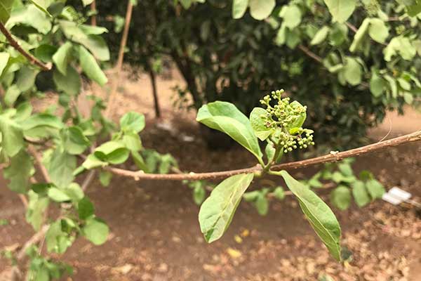 © Aakriti – stock.adobe.com