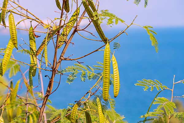 © EdNurg – stock.adobe.com