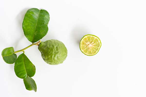 Pomarańcza bergamota, bergamotka (Citrus bergamium)