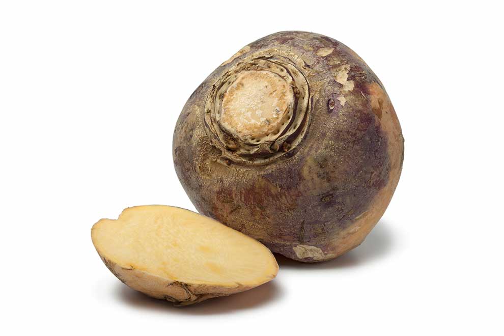 kapusta rzepak (Brassica napus)