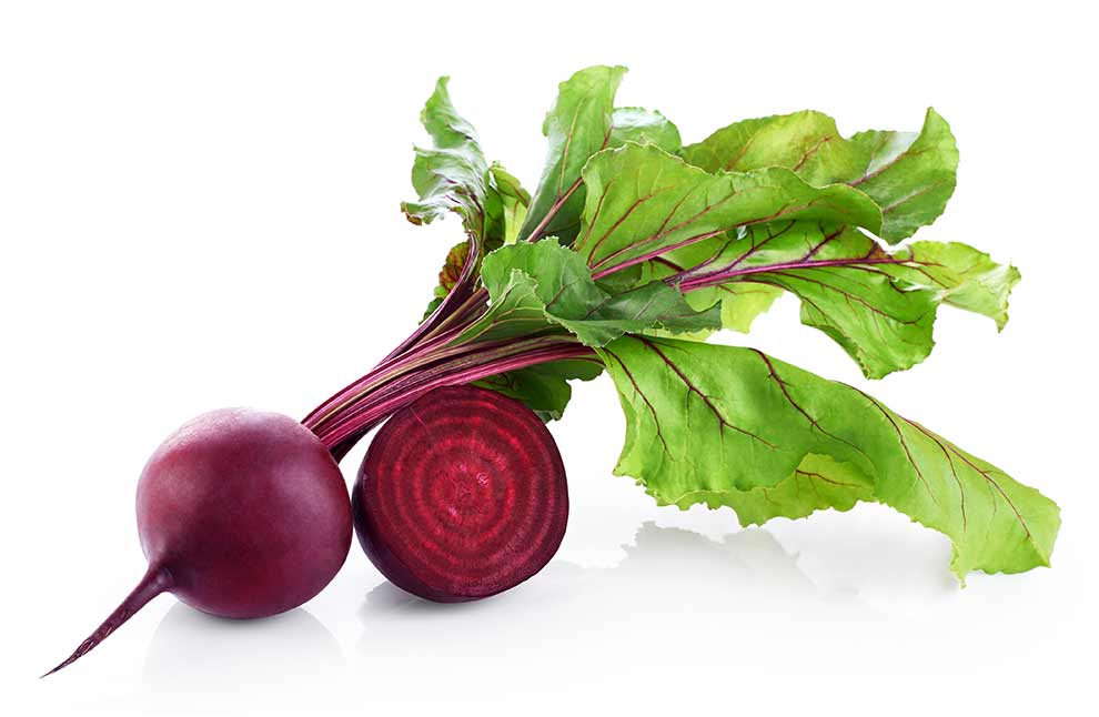 burak zwyczajny (Beta vulgaris)