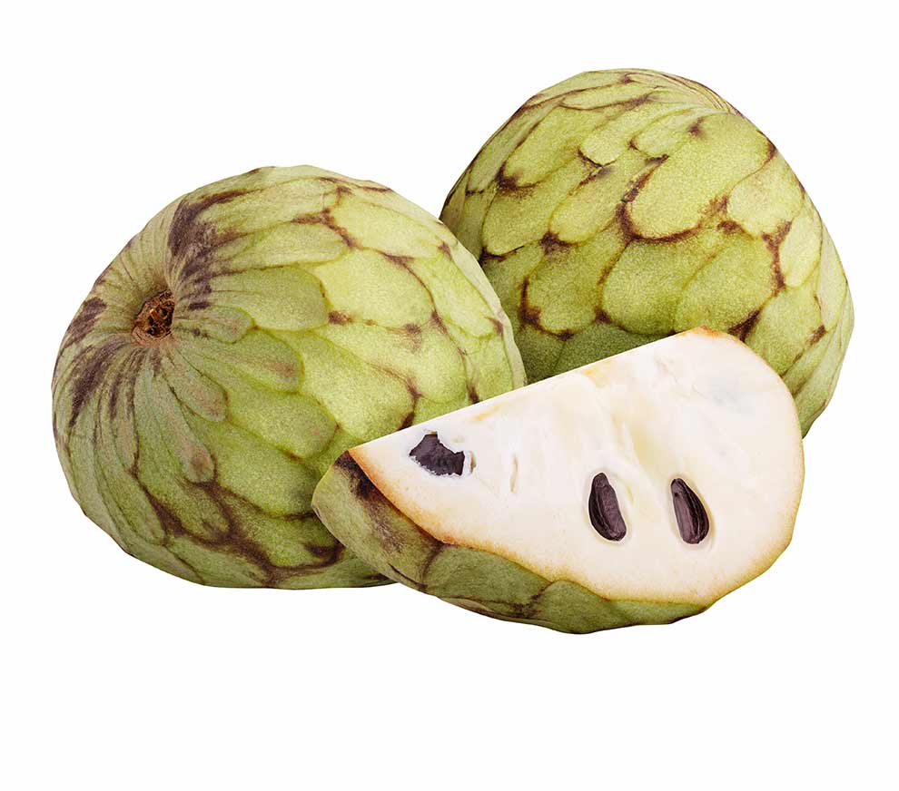 flaszowiec łuskowaty (Annona squamosa)