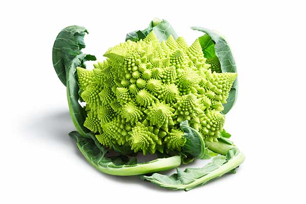 kalafior (Brassica oleracea var. botrytis)