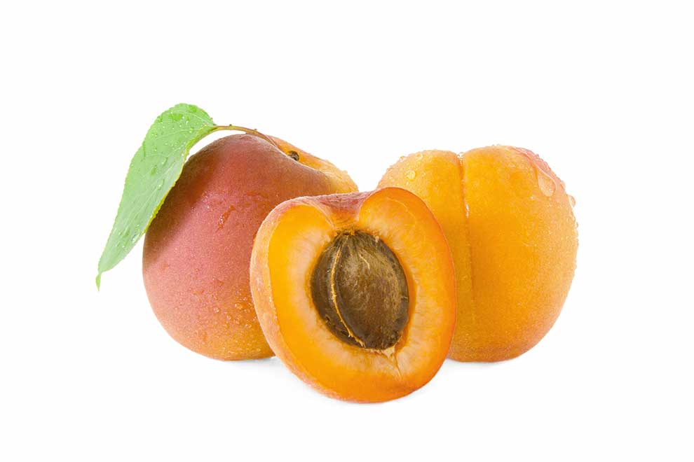 morela zwyczajna (Prunus armeniaca)