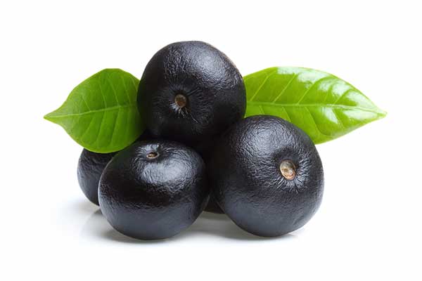 Euterpa warzywna, jagoda acai (Euterpe oleracea)