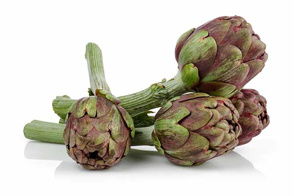 Karczoch zwyczajny (Cynara scolymus)
