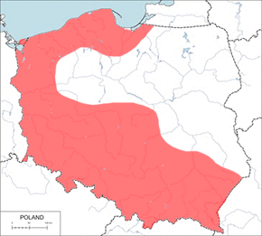 Buk pospolity, buk zwyczajny – mapa występowania w Polsce