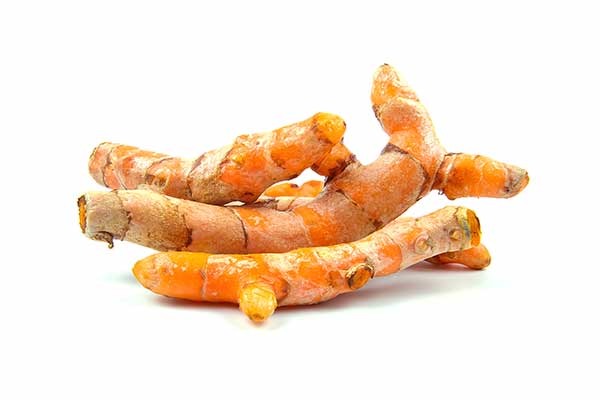 Ostryż długi, kurkuma długa, szafran indyjski (Curcuma longa)