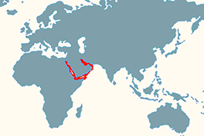 Pokolec szary – mapa występowania na świecie