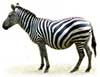 Zebra stepowa, ikona