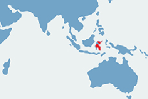 Anoa nizinny, bawołek - mapa występowania na świecie