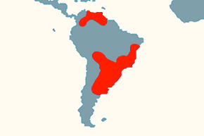 Kawia brazylijska – mapa występowania na świecie