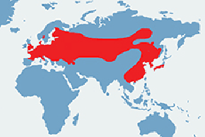 Badylarka pospolita – mapa występowania na świecie