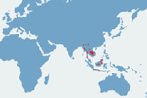 Banteng azjatycki – mapa występowania na świecie