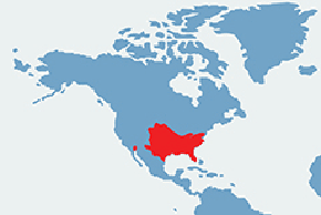 Bawełniak - mapa występowania na świecie
