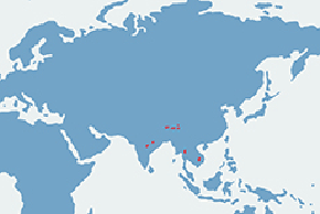 Bawół indyjski, arni - mapa występowania na świecie