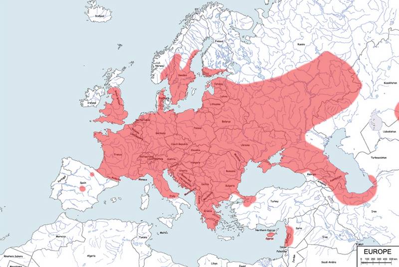 borowiec wielki - mapa