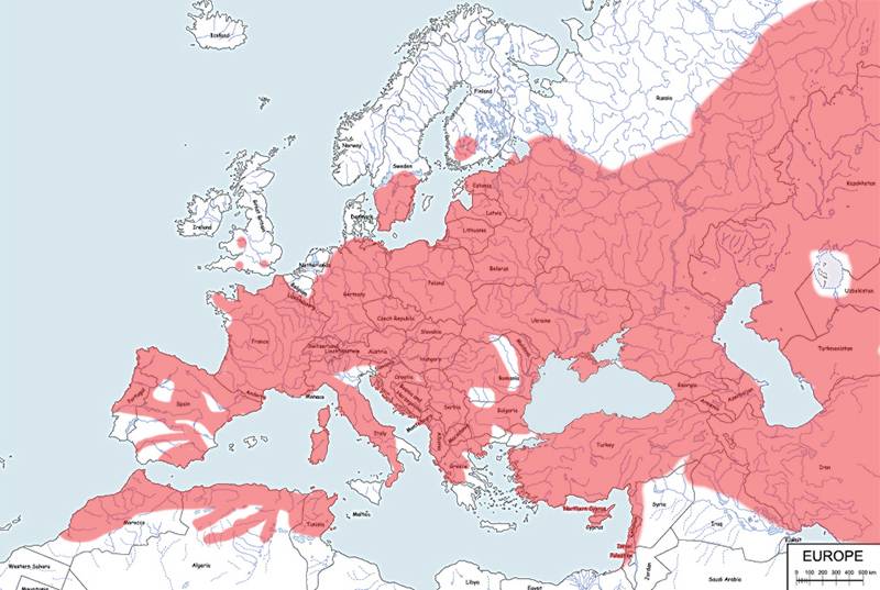 dzik euroazjatycki - mapa