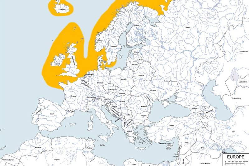 foka pospolita - mapa