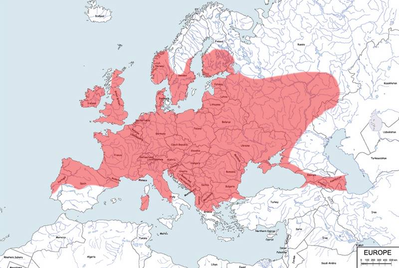 gacek brunatny - mapa