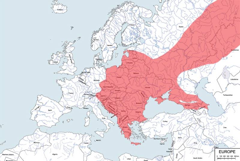 jeż wschodni - mapa